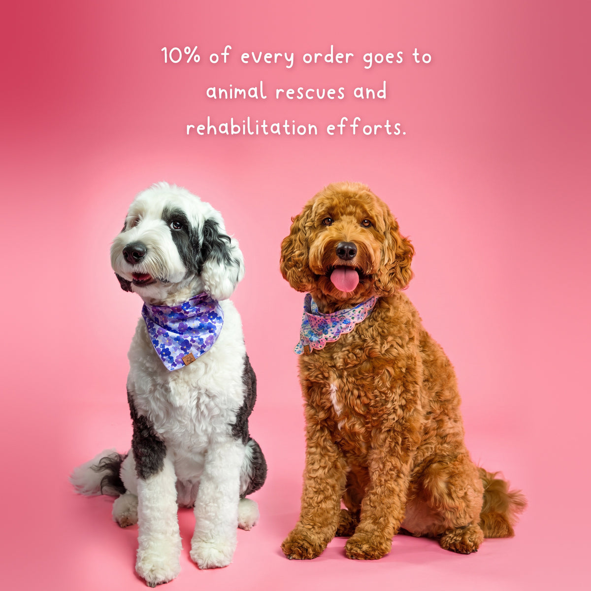 Chloe and Maisy on a pink background: 10% of every order goes to animal rescues and rehabilitation efforts.